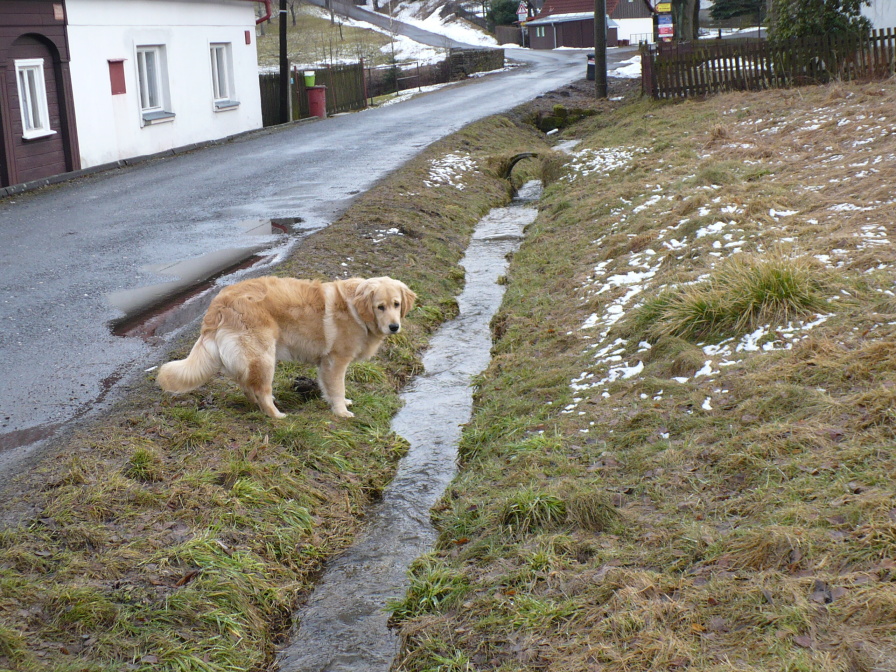 P1060248.JPG