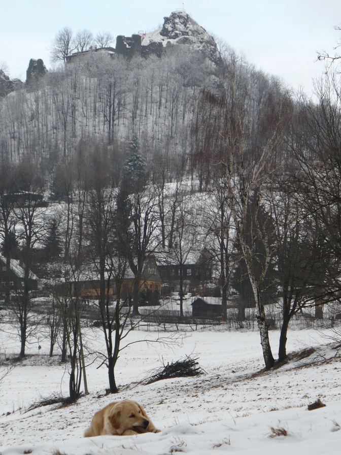 P1060269.JPG