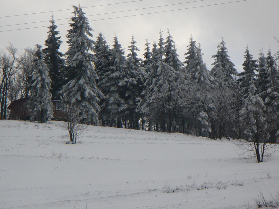 P1060290.JPG