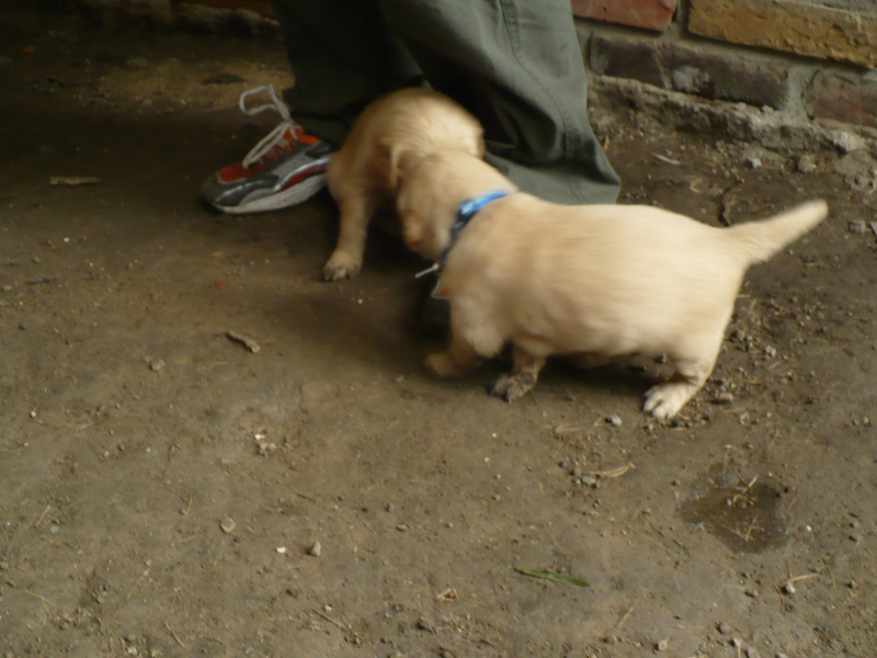 Sam_18_15_08_2008.JPG
